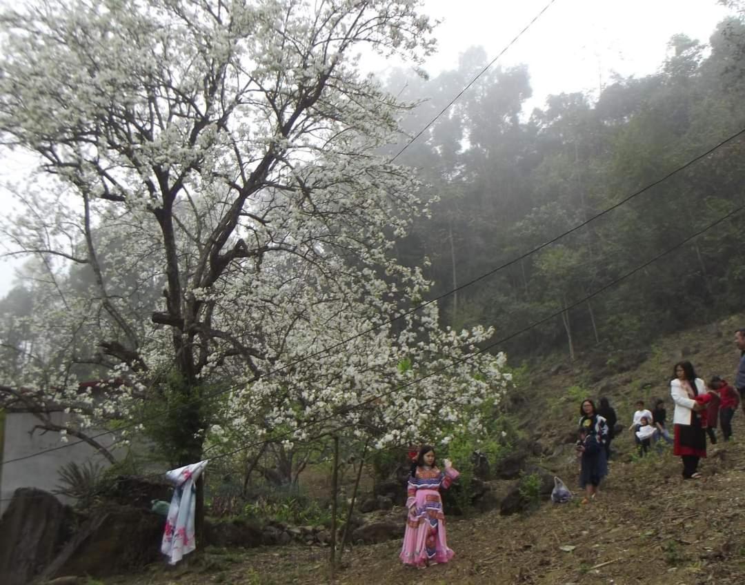 Minh_Tham Daire Bac Ha  Dış mekan fotoğraf