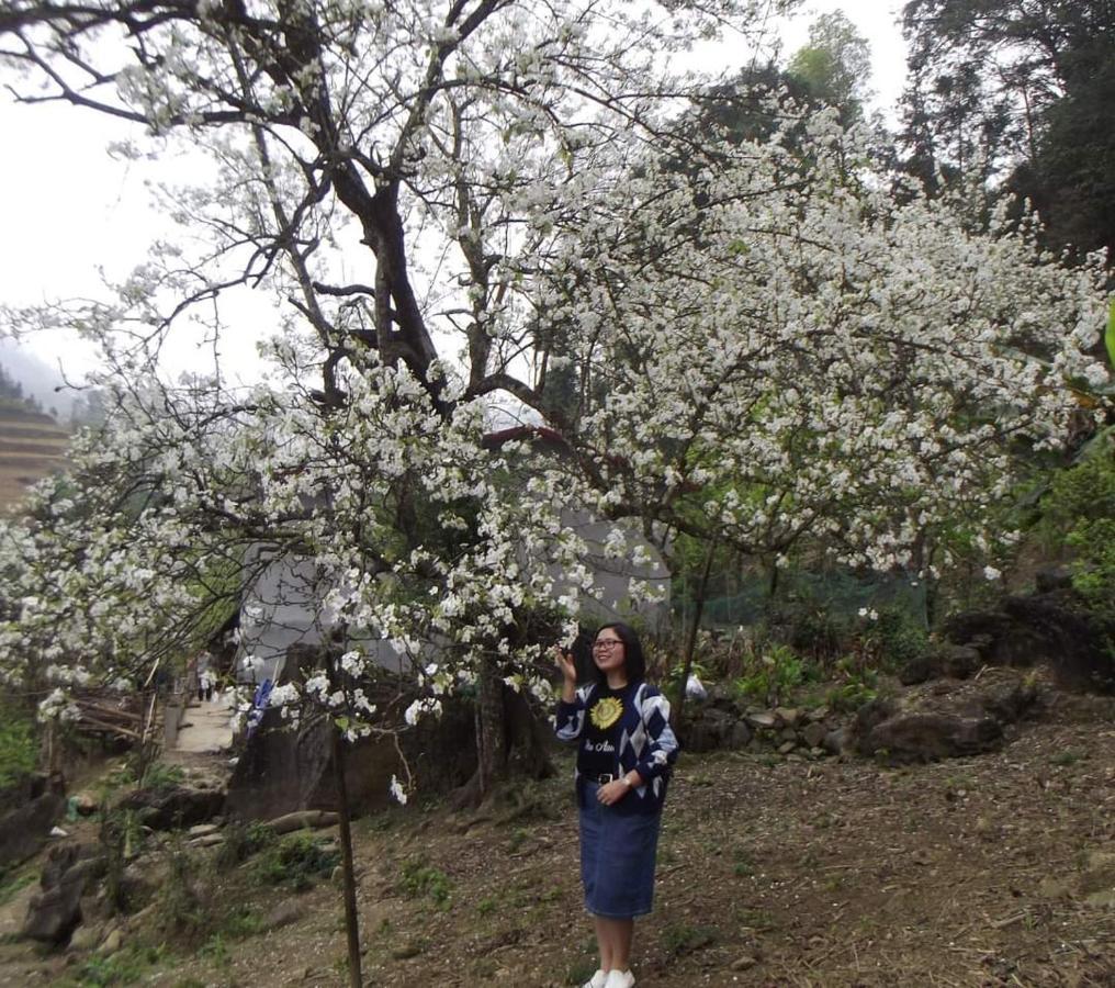 Minh_Tham Daire Bac Ha  Dış mekan fotoğraf