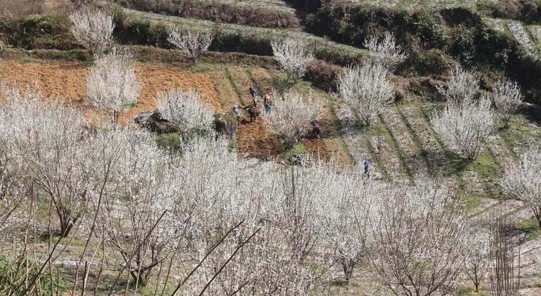 Minh_Tham Daire Bac Ha  Dış mekan fotoğraf