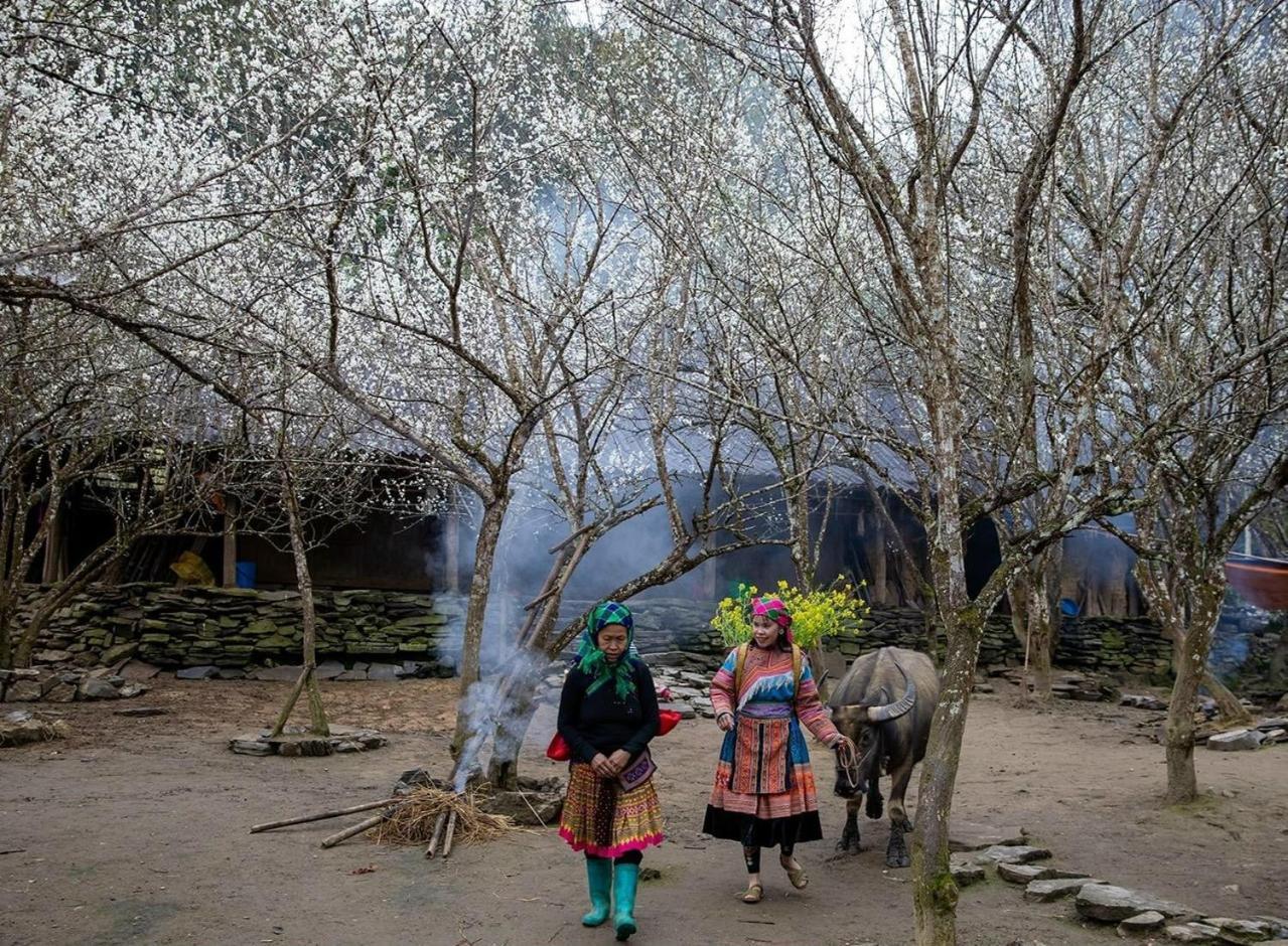 Minh_Tham Daire Bac Ha  Dış mekan fotoğraf